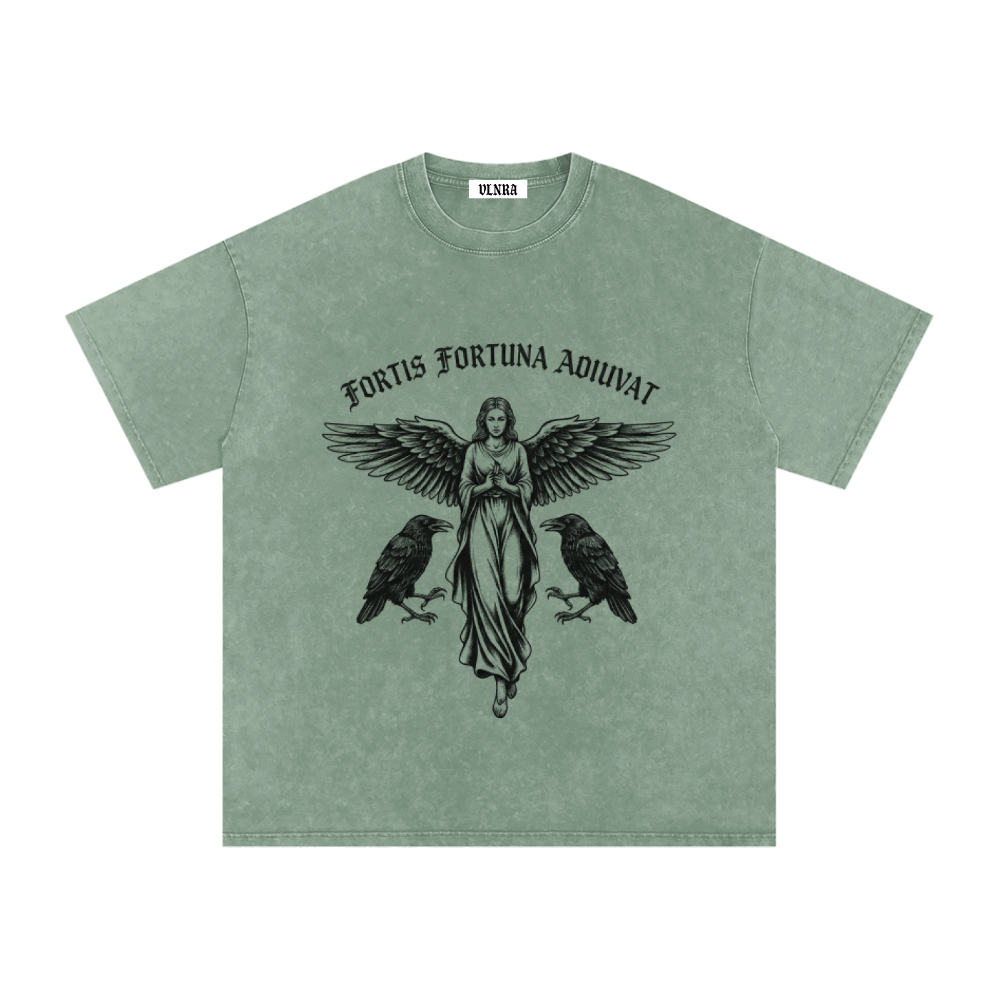 VLNRA | Fortis Fortuna Adiuvat | 250 GSM Snow Wash Tee | Black Design