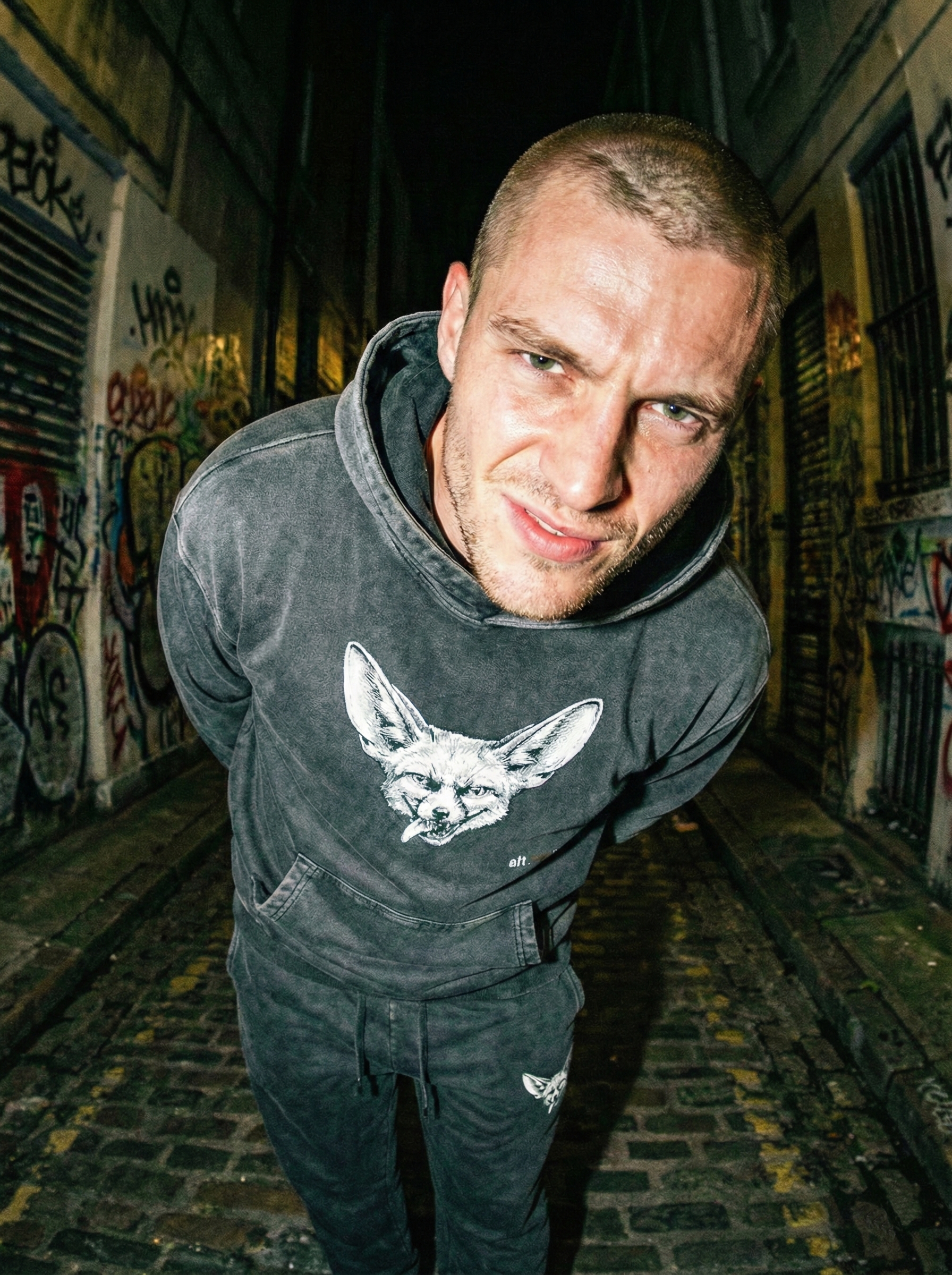 The ALT-ERR-EGO / FENNEC FOX | Unisex Snow-Washed 420 GSM Hoodie