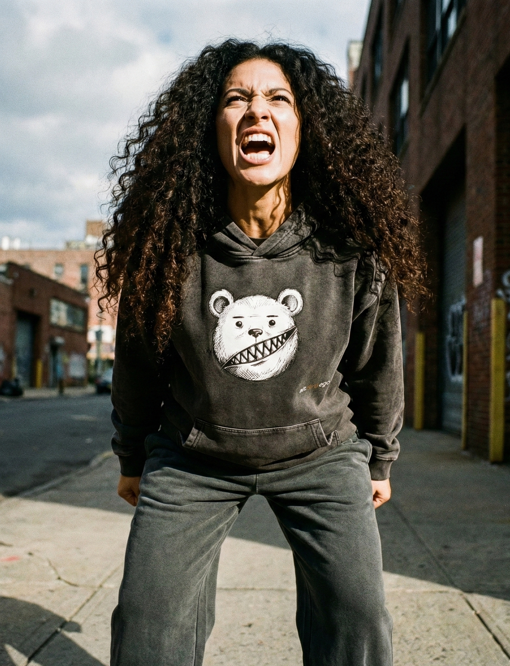 The ALT-ERR-EGO / BEAR | Unisex Snow-Washed 420 GSM Hoodie