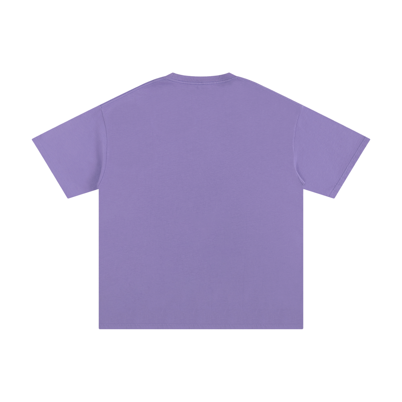 VLNRA | ANATOMY OF THE RUN | Maiden's Journey Tee | Unisex